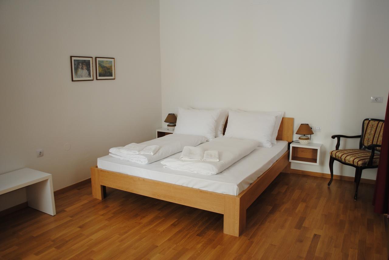 Hotel Dvorec Tolmin Exteriér fotografie